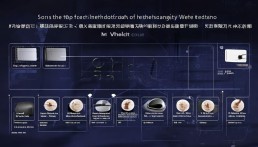 TP钱包怎么验证真伪，全面指南保障资产安全