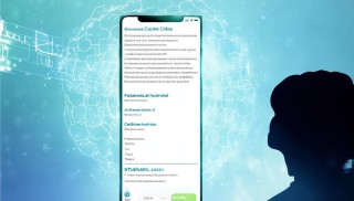 TPwallet钱包个人信息安全指南，如何保护您的数字资产与隐私