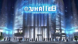 TPwallet冷钱包公司，数字资产安全的守护者